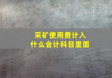 采矿使用费计入什么会计科目里面