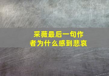 采薇最后一句作者为什么感到悲哀