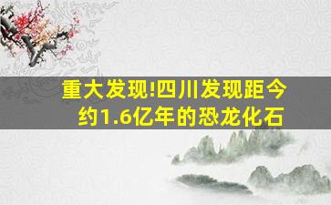 重大发现!四川发现距今约1.6亿年的恐龙化石