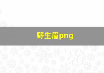 野生眉png