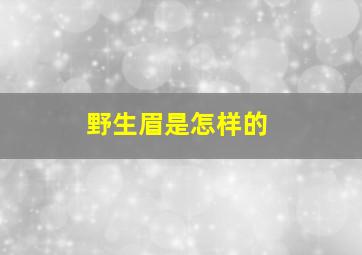 野生眉是怎样的