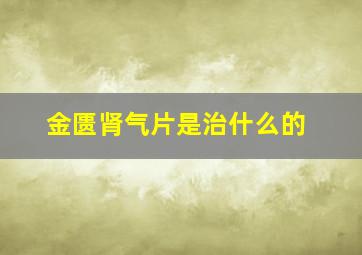 金匮肾气片是治什么的