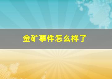 金矿事件怎么样了