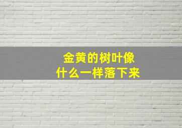 金黄的树叶像什么一样落下来