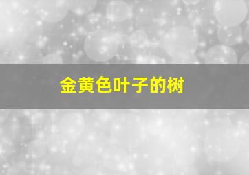 金黄色叶子的树