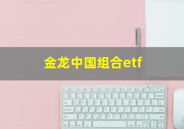 金龙中国组合etf