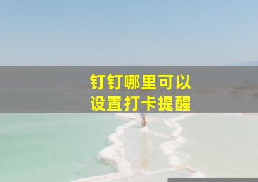 钉钉哪里可以设置打卡提醒