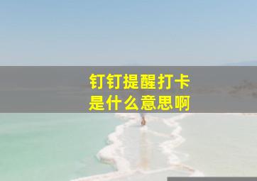 钉钉提醒打卡是什么意思啊