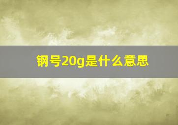 钢号20g是什么意思