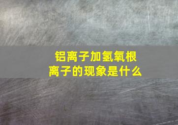 铝离子加氢氧根离子的现象是什么