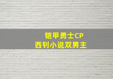 铠甲勇士CP西钊小说双男主