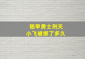 铠甲勇士刑天小飞被绑了多久