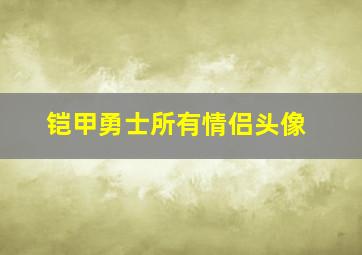 铠甲勇士所有情侣头像