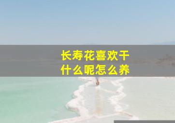 长寿花喜欢干什么呢怎么养