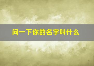 问一下你的名字叫什么