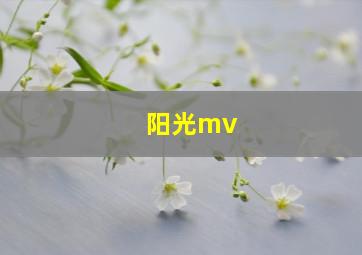 阳光mv