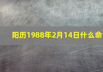 阳历1988年2月14日什么命