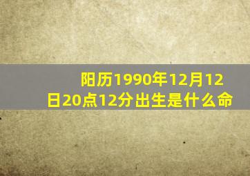 阳历1990年12月12日20点12分出生是什么命