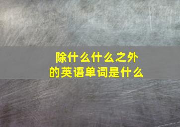 除什么什么之外的英语单词是什么