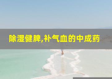 除湿健脾,补气血的中成药