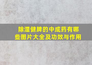 除湿健脾的中成药有哪些图片大全及功效与作用