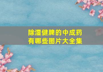 除湿健脾的中成药有哪些图片大全集