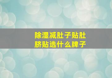 除湿减肚子贴肚脐贴选什么牌子