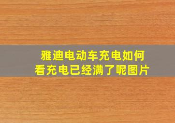 雅迪电动车充电如何看充电已经满了呢图片