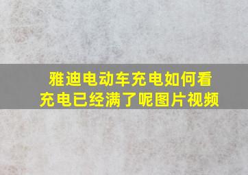 雅迪电动车充电如何看充电已经满了呢图片视频