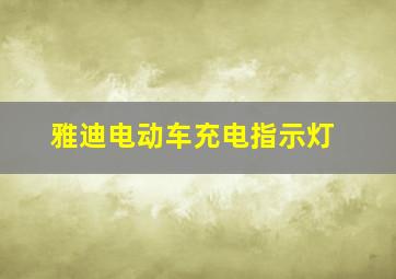 雅迪电动车充电指示灯