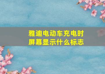 雅迪电动车充电时屏幕显示什么标志