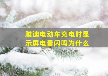 雅迪电动车充电时显示屏电量闪吗为什么