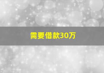 需要借款30万