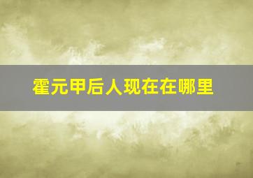 霍元甲后人现在在哪里