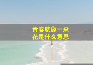 青春就像一朵花是什么意思