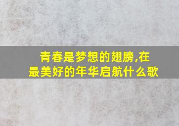 青春是梦想的翅膀,在最美好的年华启航什么歌