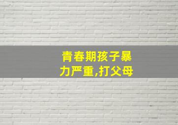 青春期孩子暴力严重,打父母