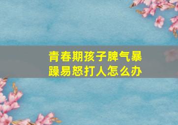 青春期孩子脾气暴躁易怒打人怎么办