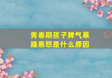 青春期孩子脾气暴躁易怒是什么原因