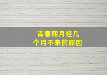 青春期月经几个月不来的原因