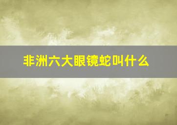 非洲六大眼镜蛇叫什么