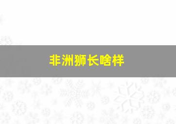 非洲狮长啥样