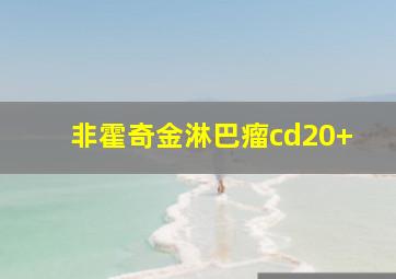 非霍奇金淋巴瘤cd20+