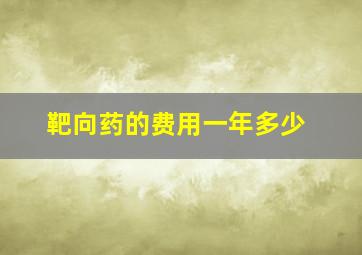 靶向药的费用一年多少