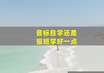 音标自学还是报班学好一点