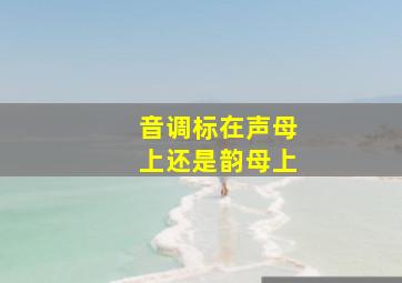 音调标在声母上还是韵母上