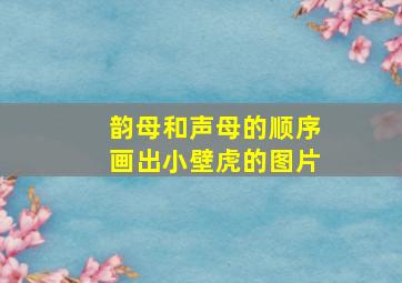 韵母和声母的顺序画出小壁虎的图片