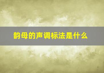 韵母的声调标法是什么