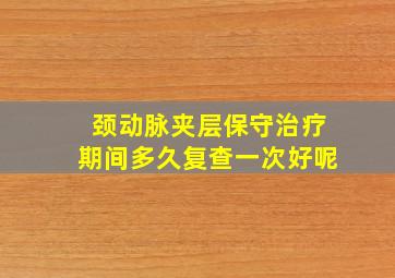 颈动脉夹层保守治疗期间多久复查一次好呢