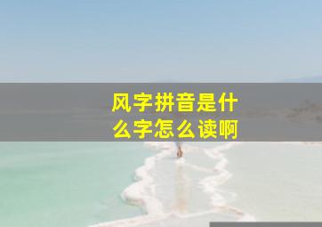 风字拼音是什么字怎么读啊